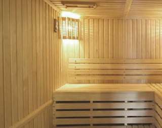 Сауна Баня в Борисовичах в Пскове